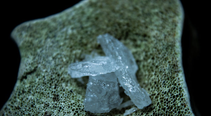 The Escalation of Meth Use in America with Deadly Consequences The Escalation of Meth Use in America with Deadly Consequences