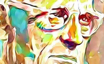 3rd Step Prayer: What it means to recovering addicts bill-w-third-step-prayer