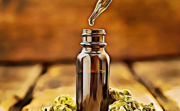 CBG vs CBD: What are the Differences and Similarities cbg cannabinoid