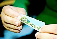 How Long Does Marijuana Stay in Your System? Drug Tests & Effects how long does it take for marijuana to leave your system