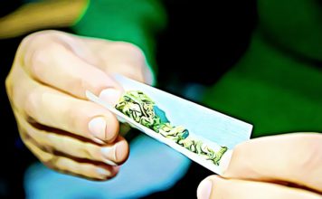 How Long Does Marijuana Stay in Your System? Drug Tests & Effects how long does it take for marijuana to leave your system