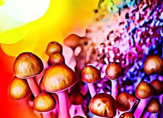 Types of Psychedelic Mushrooms: Physical and Mental Effects of Shrooms Psychedelic Mushrooms