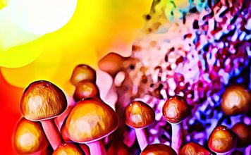 Types of Psychedelic Mushrooms: Physical and Mental Effects of Shrooms Psychedelic Mushrooms