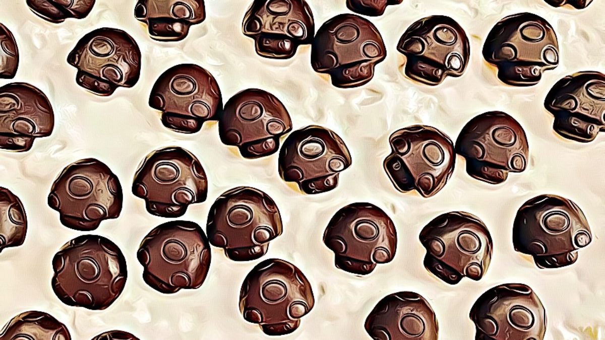 mushroom chocolate bars Alabama, psychedelic mushroom chocolate bars effects, psychedelic mushroom chocolate bars Alabama, psychedelic mushroom chocolate bars reviews Huntsville