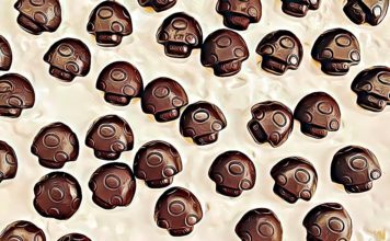 Mushroom Chocolate Bars: Dosage, Microdosing and Side Effects chocolate mushrooms