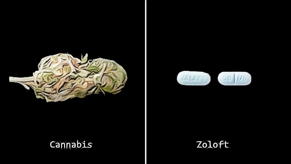 zoloft dosage for anxiety