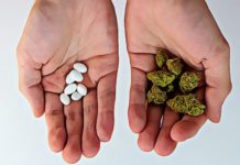 Zoloft and Weed: What Happens When you Mix Marijuana and Zoloft? how long does it take for zoloft to work