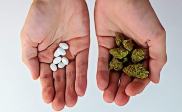 Zoloft and Weed: What Happens When you Mix Marijuana and Zoloft? how long does it take for zoloft to work