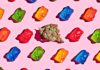 How Long Do Edibles Last? Differences Between Eating & Smoking Weed what are edibles