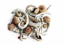 Can You Overdose on Shrooms? Types, Dosage and Dangers can you overdose on mushrooms