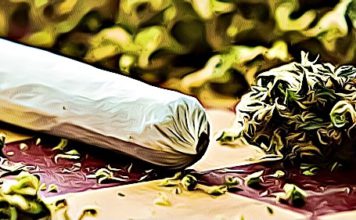 Does Regular Weed Use Cause Permanent Brain Damage? moon rock weed