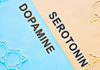 Everything You Need to Know About Serotonin and Dopamine how to test serotonin and dopamine levels