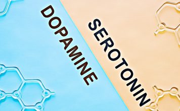 Everything You Need to Know About Serotonin and Dopamine how to test serotonin and dopamine levels