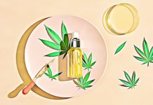 How Long Does CBD Stay In Your System? What You Need to Know cbd vape