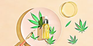 How Long Does CBD Stay In Your System? What You Need to Know cbd vape