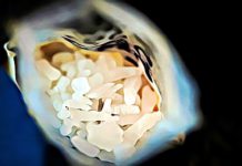 P2P Meth – What is P2P: Everything You Need to Know p2p meth