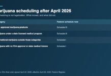 Marijuana Is Schedule III Now, For Some Products. Here Is What That Means. Table showing federal marijuana scheduling after April 2026, with FDA approved products and state licensed medical marijuana moved to Schedule III while recreational marijuana outside those categories remains Schedule I
