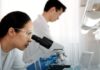 No Medication Is Approved for Methamphetamine Use Disorder. Here Is What the Evidence Supports. A researcher in a lab coat works at a bench in a research laboratory.