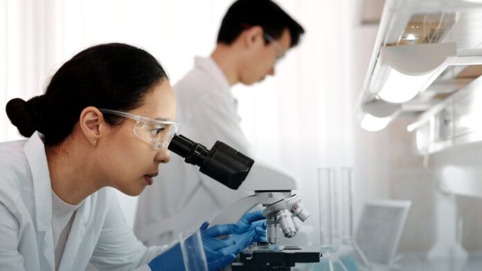A researcher in a lab coat works at a bench in a research laboratory.