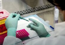 Xylazine, Medetomidine and Nitazenes: What the Testing Data Shows A gloved scientist handling labeled sample vials in a sterile laboratory.