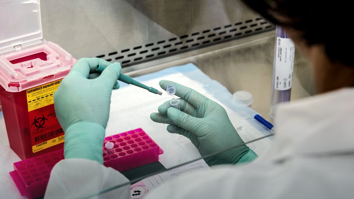 A gloved scientist handling labeled sample vials in a sterile laboratory.