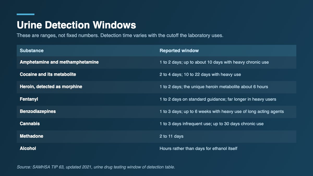 Table of urine drug detection windows for amphetamines, cocaine, heroin, fentanyl, benzodiazepines, cannabis, methadone and alcohol.