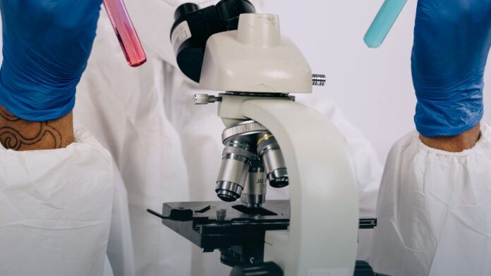 A laboratory scientist examining samples with testing equipment.
